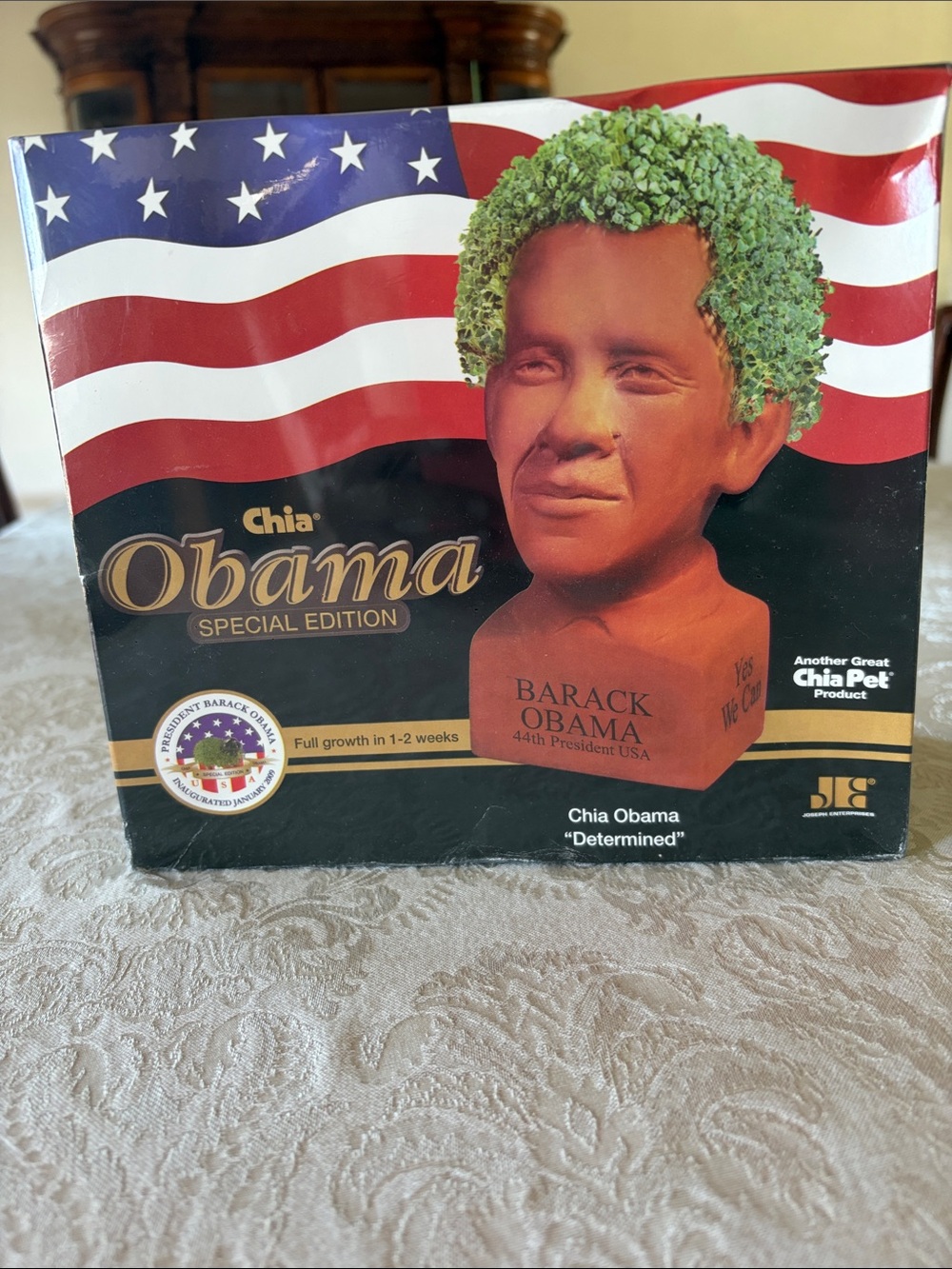 Special Edition Bust Decorative Planter - Terracotta with Green Growth